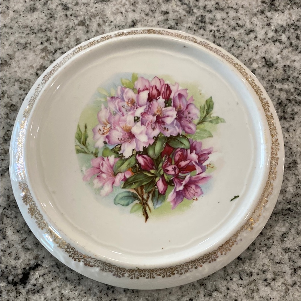 Vintage Porcelain Floral Teapot Trivet Hot Plate Pink Rhododendron Gold Trim!